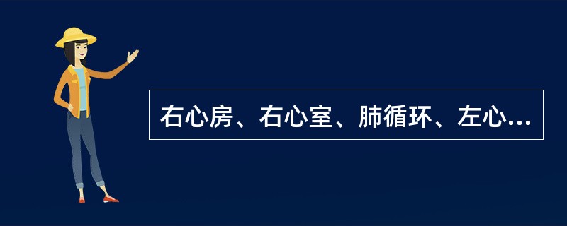 右心房、右心室、肺循环、左心房血流增多，而左心室、体循环血流量减少，这是下述哪一