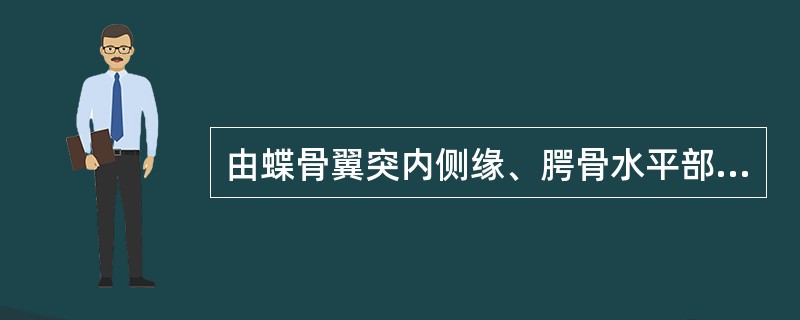 由蝶骨翼突内侧缘、腭骨水平部后缘、犁骨后缘和以下哪项围成后鼻孔（）。