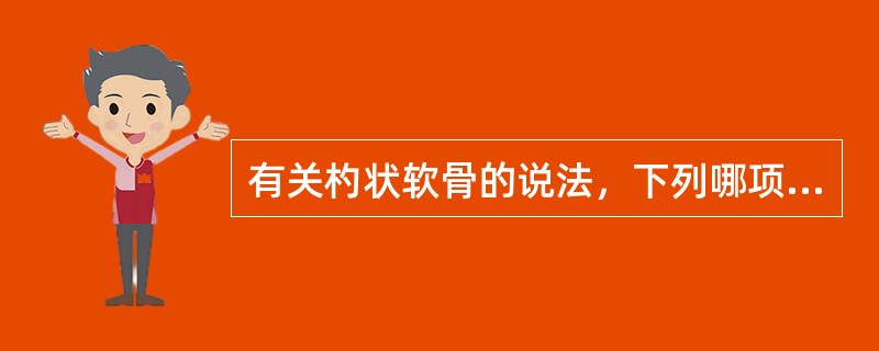 有关杓状软骨的说法，下列哪项是错误的（）