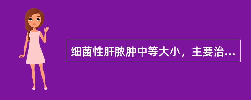 细菌性肝脓肿中等大小，主要治疗措施为（）