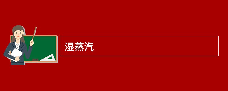 湿蒸汽