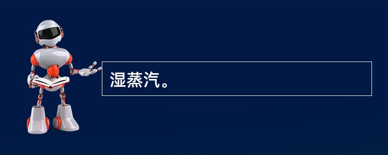 湿蒸汽。