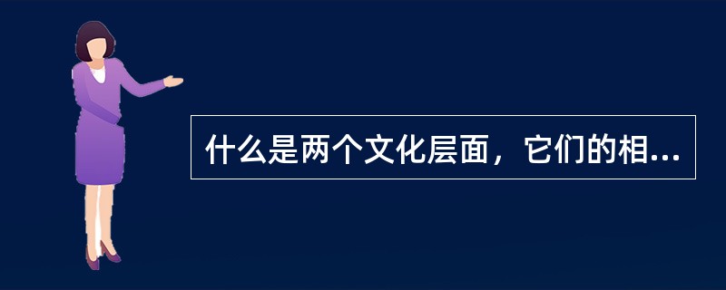 什么是两个文化层面，它们的相互关系如何？