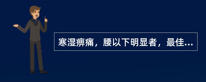 寒湿痹痛，腰以下明显者，最佳选药是（）