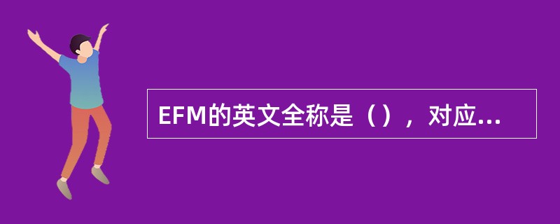 EFM的英文全称是（），对应的中文名称是（）。