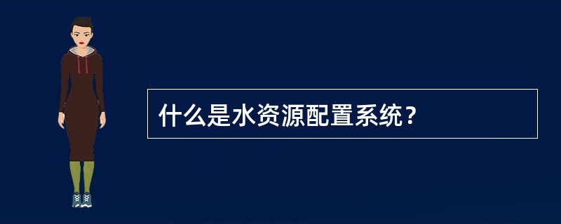 什么是水资源配置系统？