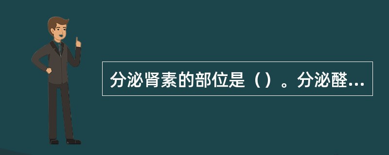 分泌肾素的部位是（）。分泌醛固酮的部位是（）。血管紧张素Ⅰ转化成血管紧张素Ⅱ的部