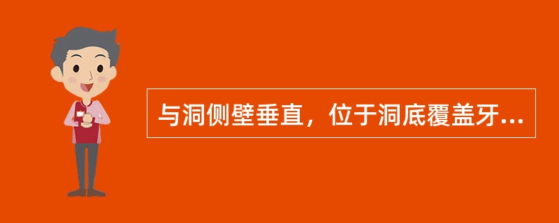 与洞侧壁垂直，位于洞底覆盖牙髓的洞壁称（）