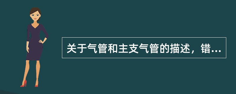 关于气管和主支气管的描述，错误的是（）