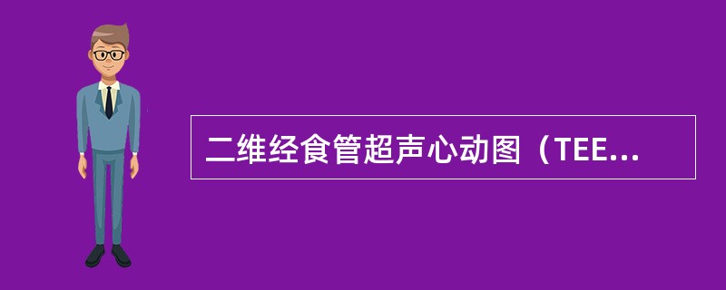 二维经食管超声心动图（TEE）不能反映（）。