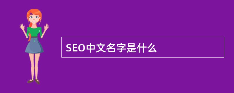 SEO中文名字是什么