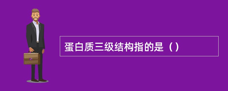 蛋白质三级结构指的是（）