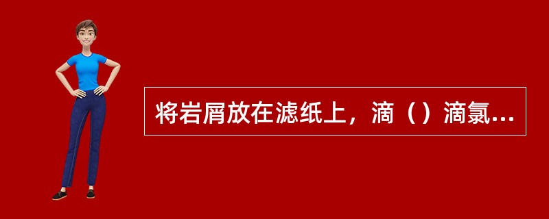 将岩屑放在滤纸上，滴（）滴氯仿，在荧光灯下观察，来确定荧光显示情况。