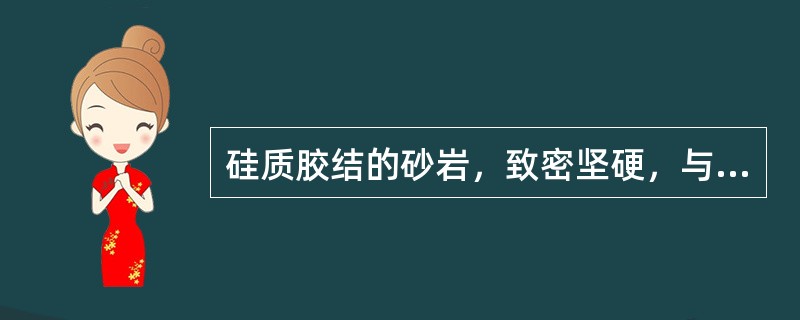 硅质胶结的砂岩，致密坚硬，与盐酸反应起泡强烈（）。