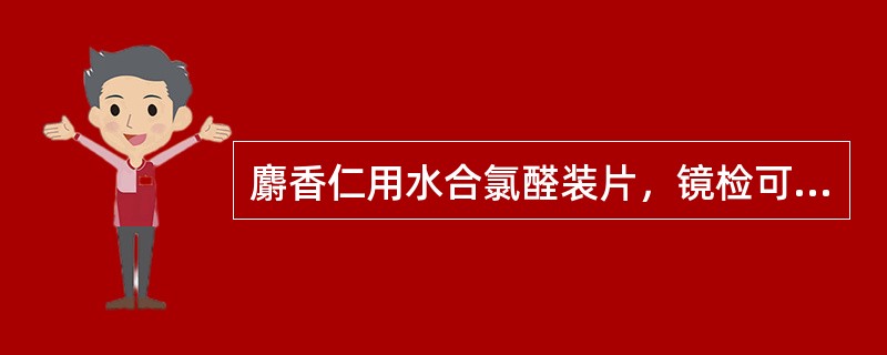 麝香仁用水合氯醛装片，镜检可见（）