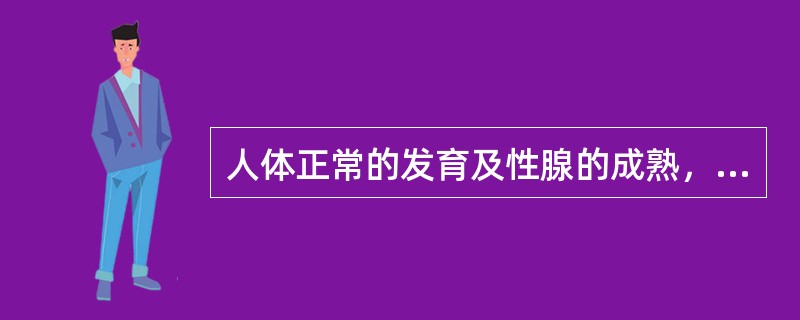 人体正常的发育及性腺的成熟，主要与（）有关