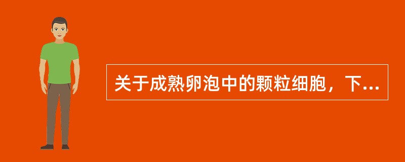 关于成熟卵泡中的颗粒细胞，下列哪项错误（）