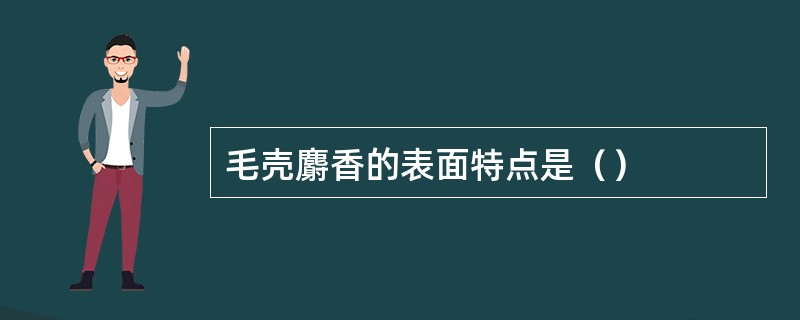 毛壳麝香的表面特点是（）