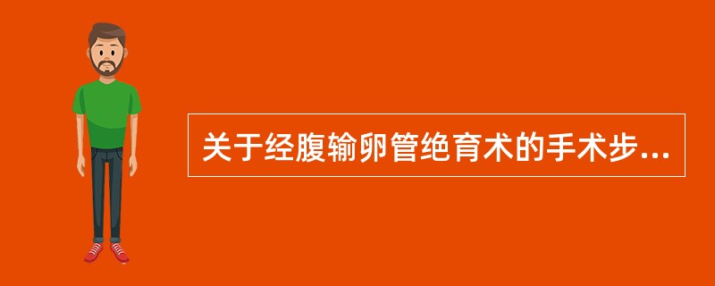 关于经腹输卵管绝育术的手术步骤，下列叙述错误的是（）