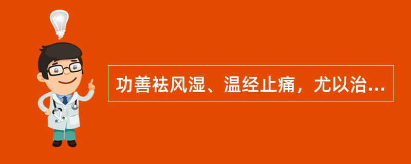 功善袪风湿、温经止痛，尤以治风寒湿痹寒邪偏盛者为宜的药物是：（）