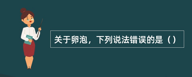 关于卵泡，下列说法错误的是（）