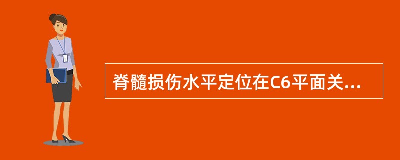 脊髓损伤水平定位在C6平面关键肌为（）