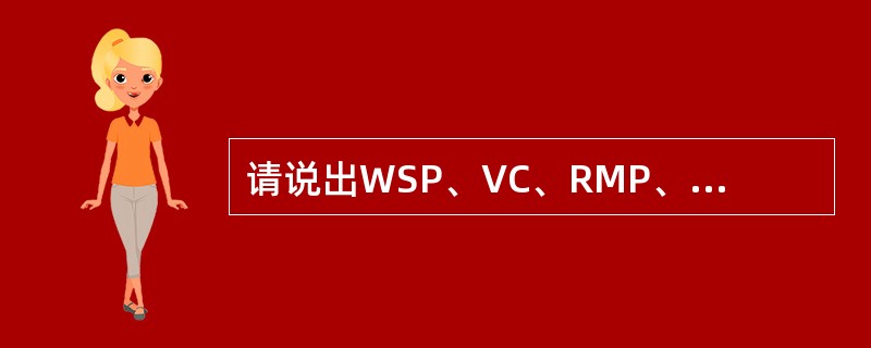 请说出WSP、VC、RMP、PSP的英文缩写各表示什么含义？