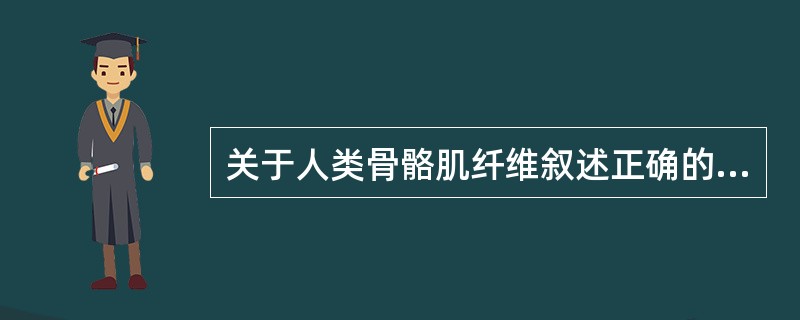 关于人类骨骼肌纤维叙述正确的是（）