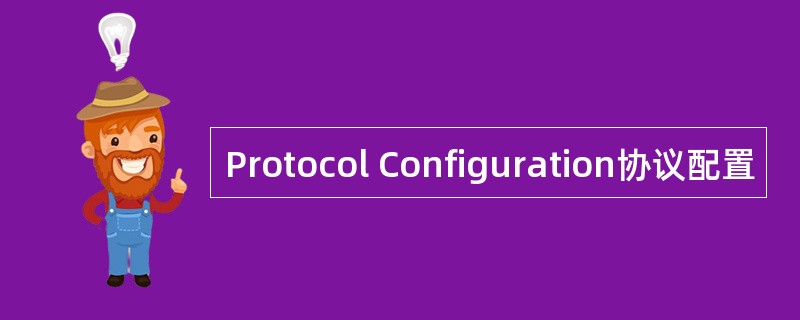 Protocol Configuration协议配置