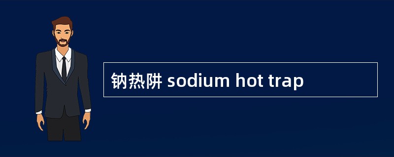 钠热阱 sodium hot trap