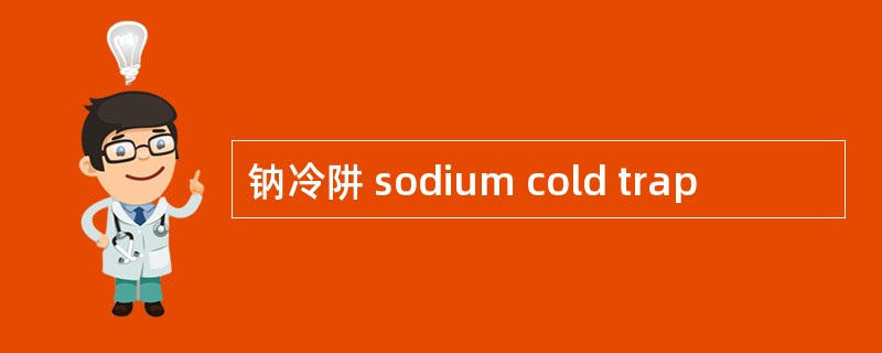 钠冷阱 sodium cold trap