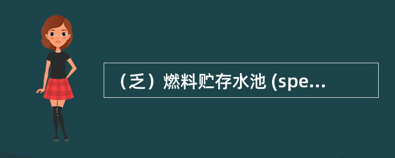 （乏）燃料贮存水池 (spent) fuel storage pool