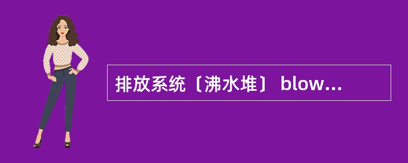 排放系统﹝沸水堆﹞ blowdown system