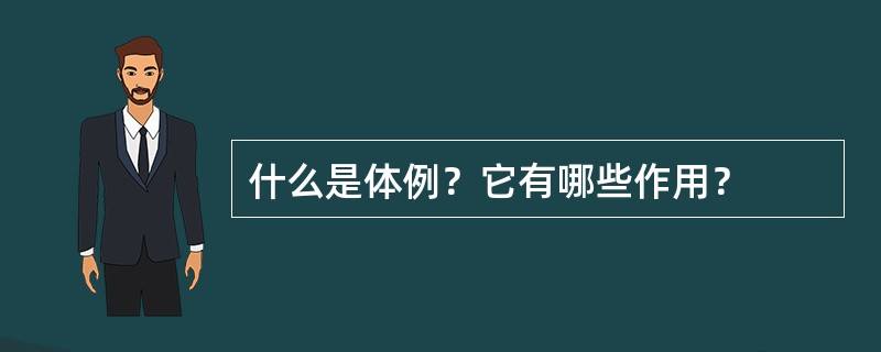 什么是体例？它有哪些作用？