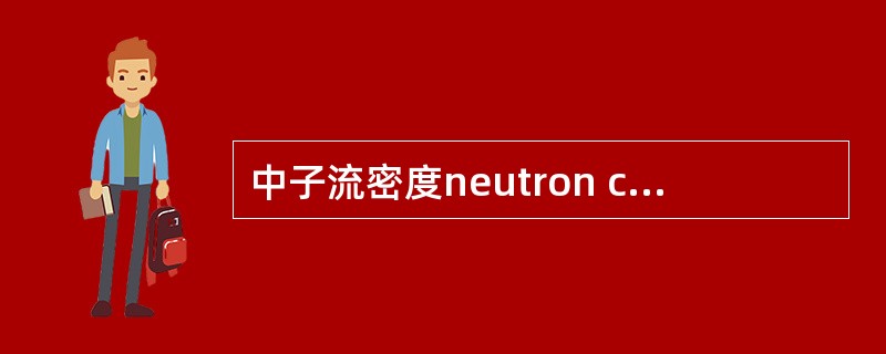 中子流密度neutron current density