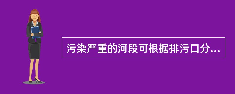 污染严重的河段可根据排污口分布及排污状况，设置若干（）。