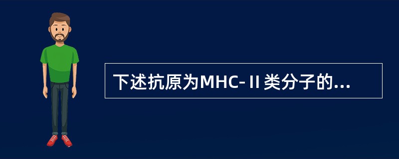 下述抗原为MHC-Ⅱ类分子的受体的是（）