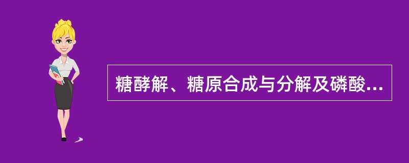 糖酵解、糖原合成与分解及磷酸戊糖途径的交叉点是（）。