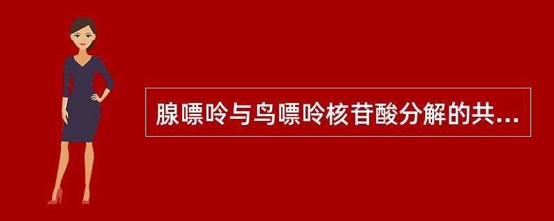 腺嘌呤与鸟嘌呤核苷酸分解的共同中间产物（）。