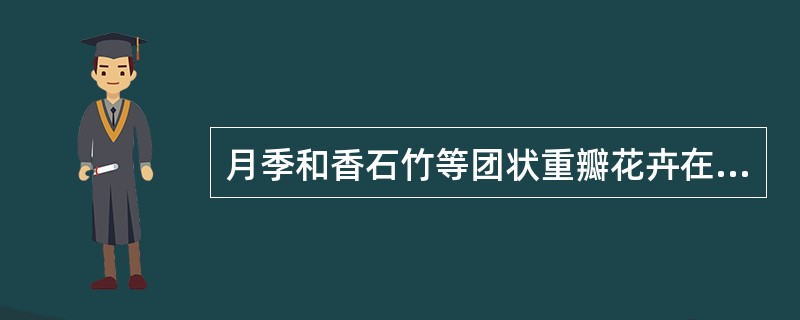 月季和香石竹等团状重瓣花卉在压制时应该（）