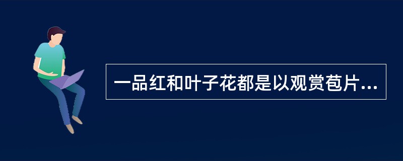 一品红和叶子花都是以观赏苞片为主的花卉。