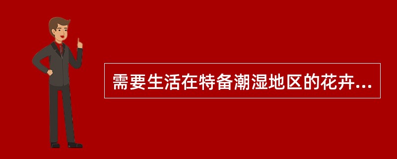 需要生活在特备潮湿地区的花卉称为（）花卉。