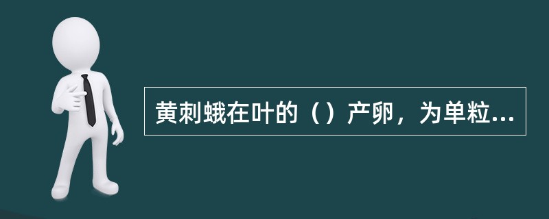 黄刺蛾在叶的（）产卵，为单粒散产。