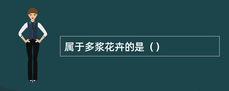 属于多浆花卉的是（）