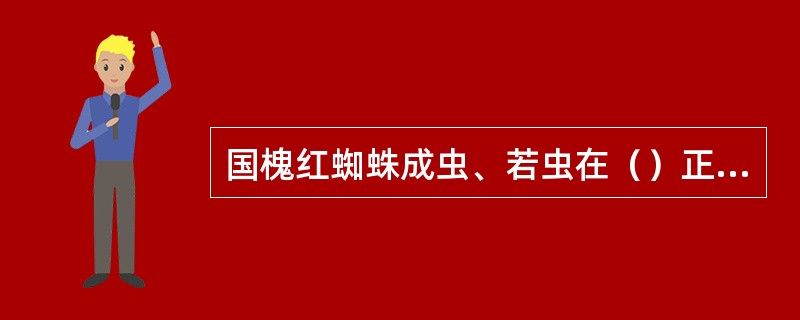 国槐红蜘蛛成虫、若虫在（）正面、背面均有，并吐丝拉网。