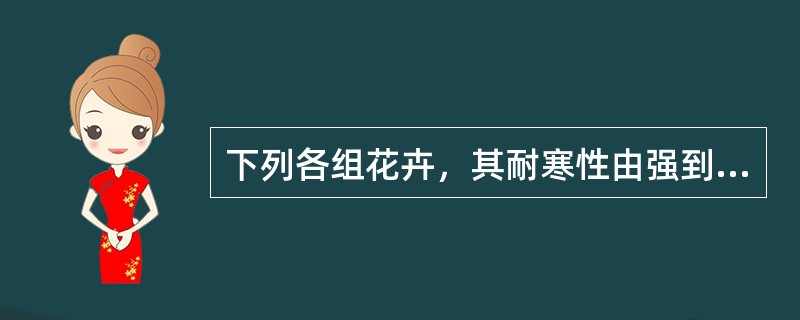 下列各组花卉，其耐寒性由强到弱排列的是（）