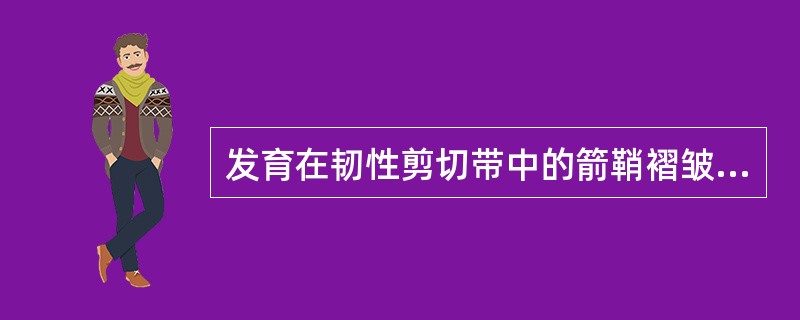 发育在韧性剪切带中的箭鞘褶皱是属于一种B型褶皱。