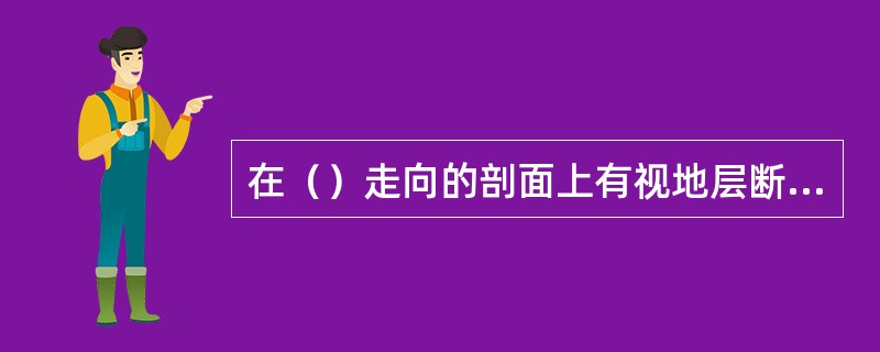 在（）走向的剖面上有视地层断距。