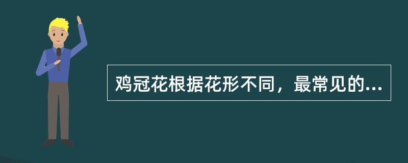 鸡冠花根据花形不同，最常见的品种类型有（）