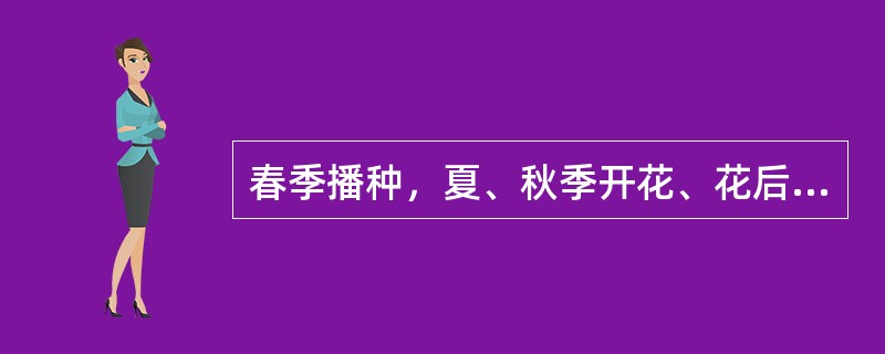 春季播种，夏、秋季开花、花后结籽，冬季即枯死的植物称为（）